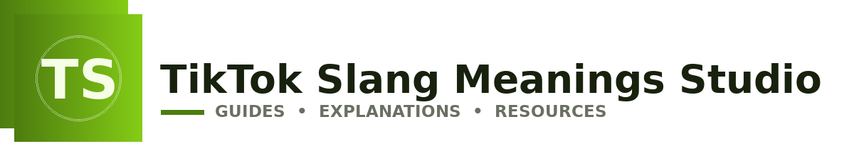 TikTok Slang Meanings Studio